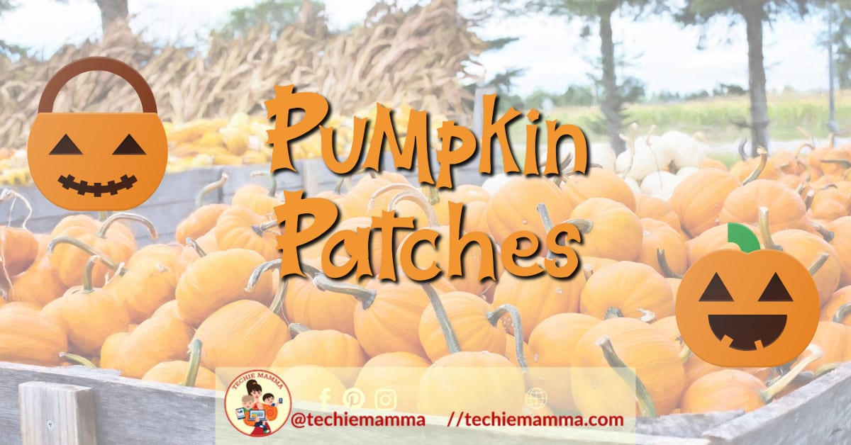 pumpkinpatches.header pumpkinpatches.header