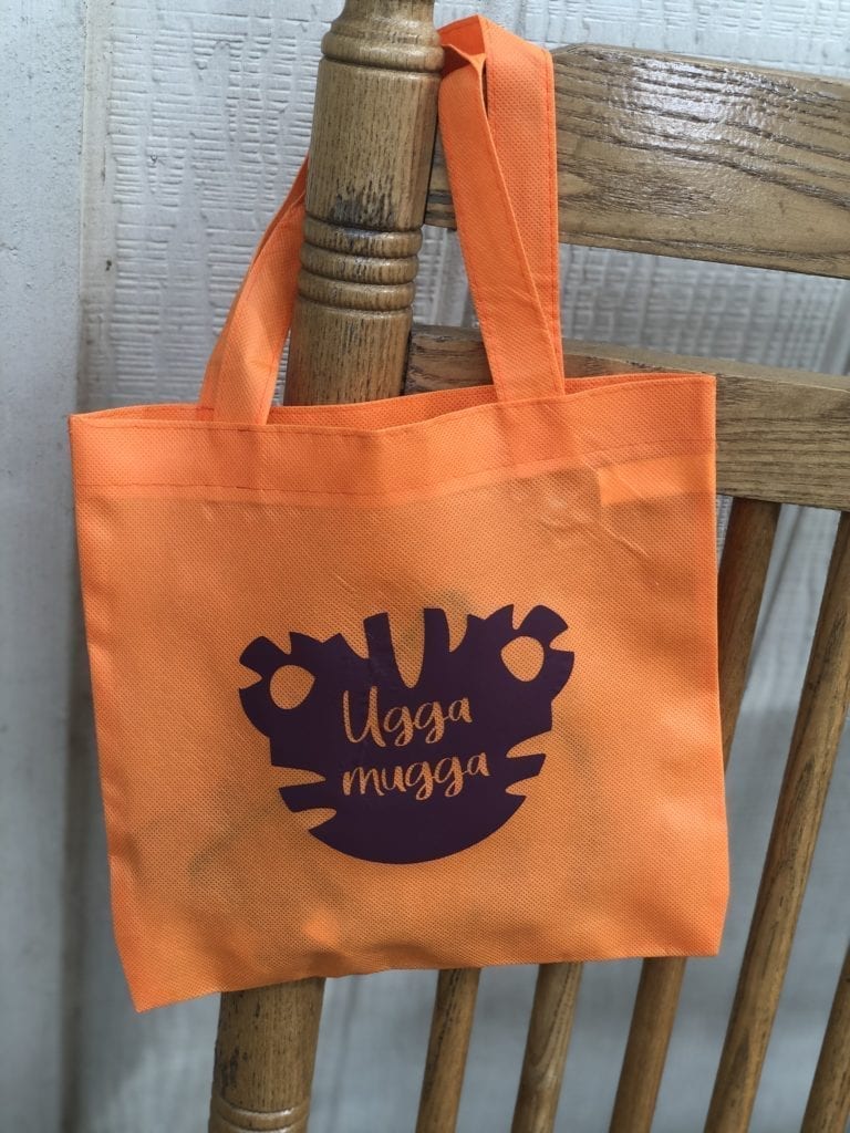 Ugga Mugga bag for Daniel Tiger Pandemic Birthday