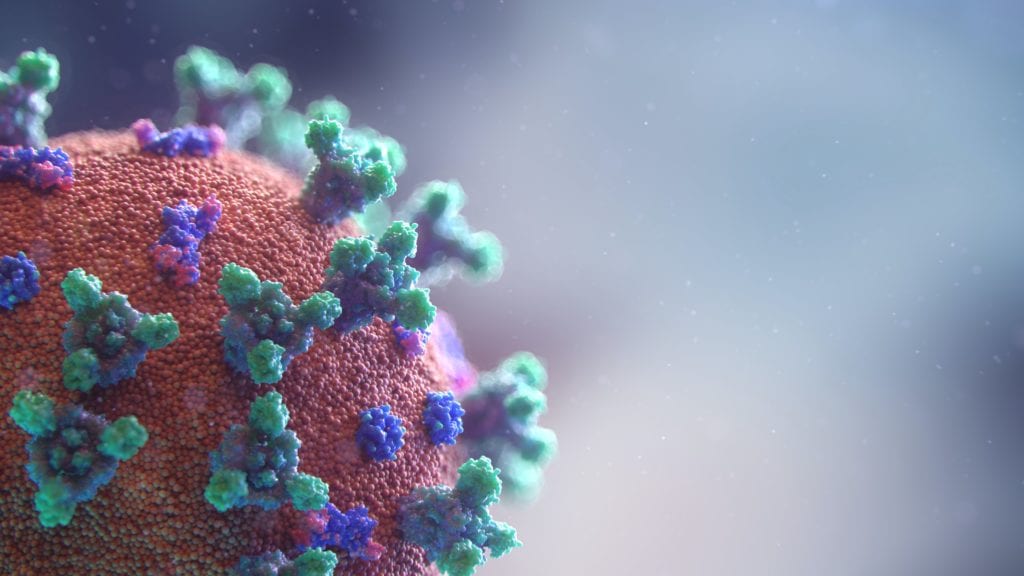 New visualisation of the Covid-19 virus