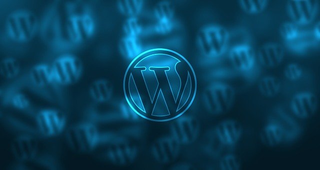 The WordPress logo, symbolizing WordPress updates.