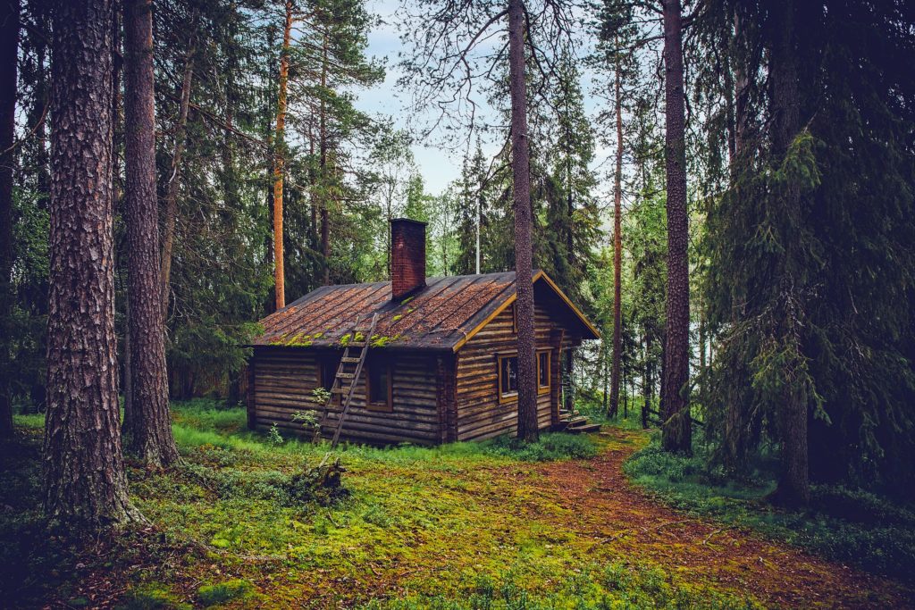 log cabin, cottage, house