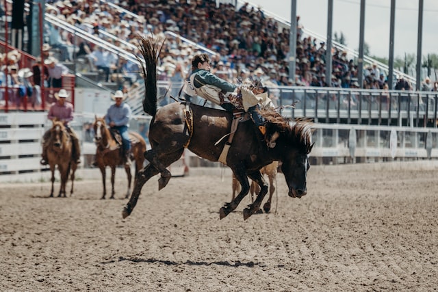 a man in a rodeo competition